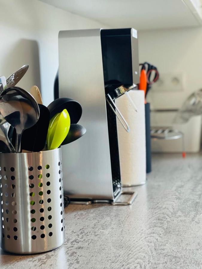 La Belle Ferronniere Appartement Avec Environnement Paisible Αμπουάζ Εξωτερικό φωτογραφία